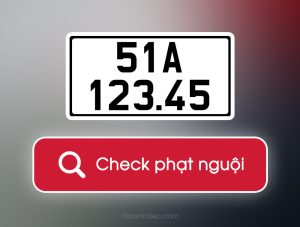Check Phạt Nguội: Hướng Dẫn Chi Tiết Và Nhanh Chóng Từ Laiho.vn 1