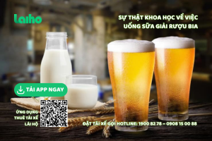 Uống bia xong uống sữa có sao không? Sự thật khoa học về việc uống sữa giải rượu bia 2