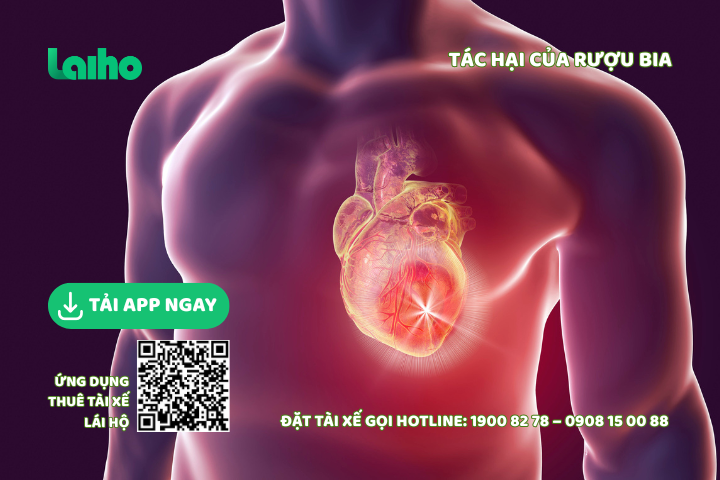 Uống bia nhiều bị gì? Phân tích chuyên sâu hơn 10 tác hại khủng khiếp lên toàn bộ cơ thể 34