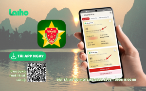 Tra cứu bằng lái xe qua ứng dụng di động (App VNeID hoặc App Giao Thông)